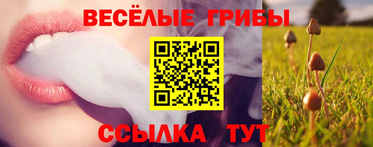 Галлюциногенные грибы Psilocybine cubensis Выкса
